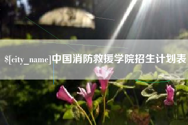 乌兰察布中国消防救援学院招生计划表