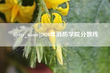 乌兰察布2020年消防学院分数线