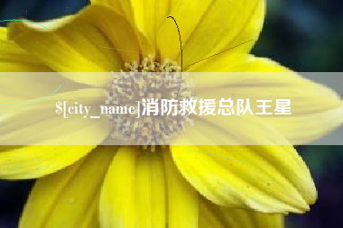 乌兰察布消防救援总队王星