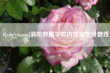 乌兰察布消防救援学院内部招生分数线