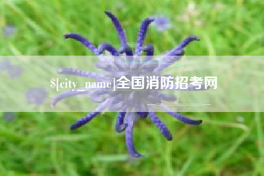 乌兰察布全国消防招考网