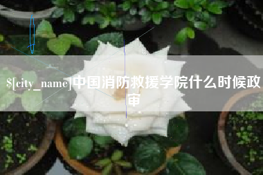 乌兰察布中国消防救援学院什么时候政审