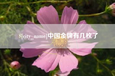 乌兰察布中国金牌有几枚了