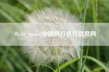 乌兰察布中国执行执行信息网