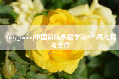 乌兰察布中国消防救援学院2020高考报考条件