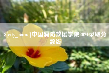 乌兰察布中国消防救援学院2021录取分数线