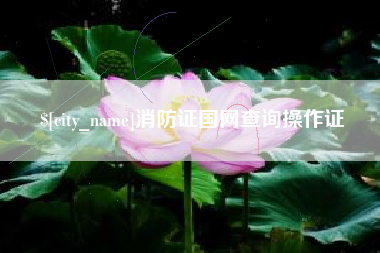 乌兰察布消防证国网查询操作证