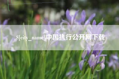 乌兰察布中国执行公开网下载