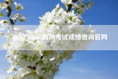 乌兰察布消防考试成绩查询官网