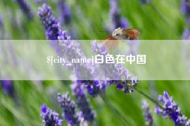 乌兰察布白色在中国
