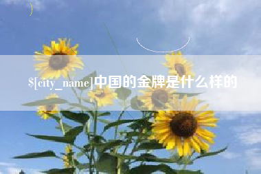乌兰察布中国的金牌是什么样的