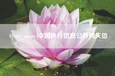 乌兰察布中国执行信息公开网失信