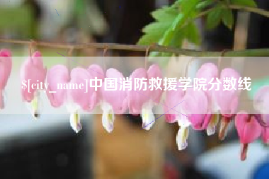 乌兰察布中国消防救援学院分数线