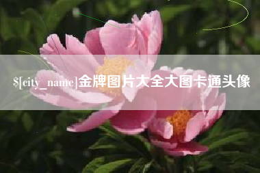 乌兰察布金牌图片大全大图卡通头像