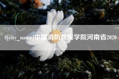 乌兰察布中国消防救援学院河南省2020